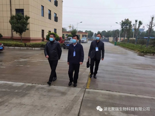 钟祥市人大常委会主任王小庆检查指导湖北聚瑞疫情防控和安全生产工作